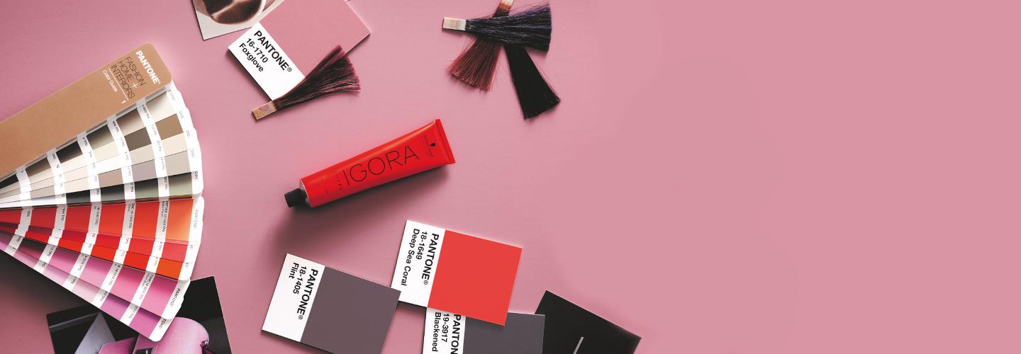 Ontdek de Pantone mengkleuren van Schwarzkopf Igora Royal