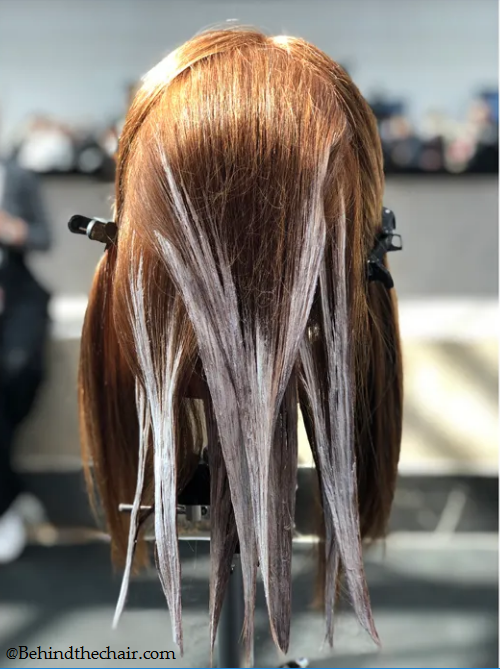 Moreel onderwijs overschrijving Beginner French Balayage: nieuwe signature service van L'Oréal