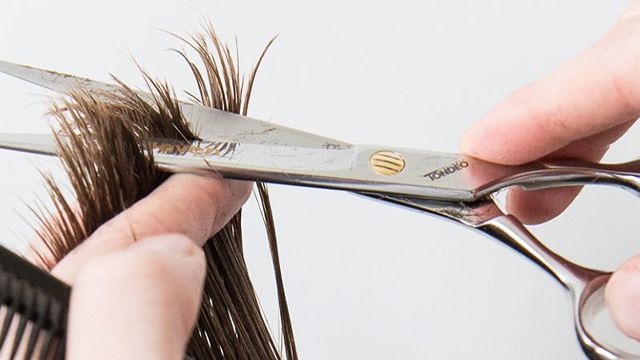 Knipschaar