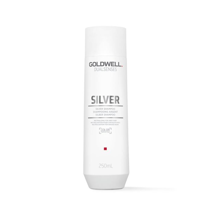 Goldwell Dualsenses Silver Shampoo 250ml main product photo