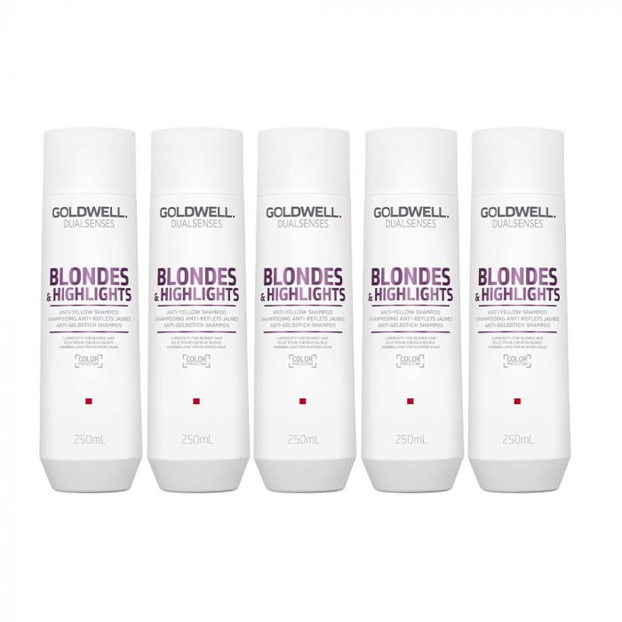 5x Goldwell Dualsenses Blondes & Highlights Anti-Yellow Shampoo 250ml main product photo