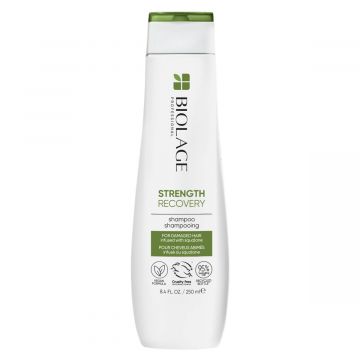 Matrix Biolage Strength Recovery Shampoo 250ml