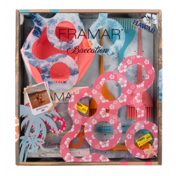 Framar Colorist Kit Beacation