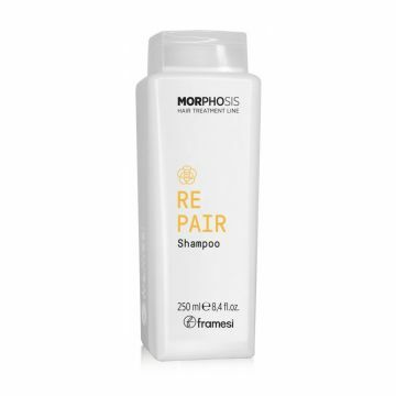 Framesi Morphosis Repair Shampoo 250ml