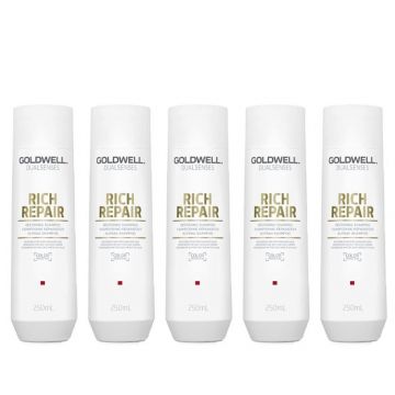 5X Goldwell Dualsenses Rich Repair Restoring Shampoo 250ml