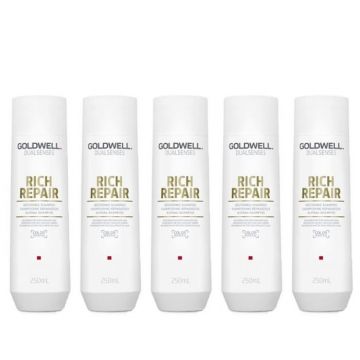 10x Goldwell Dualsenses Rich Repair Restoring Shampoo 250ml