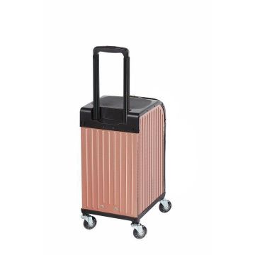 Sibel Trolley koffer rose goud