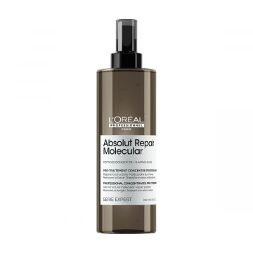 L’Oréal SE Absolut Repair Molecular Pre-Treatment 190ml