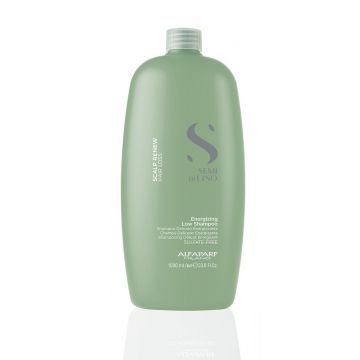 Alfaparf Scalp Renew Energizing Low Shampoo 1000ml