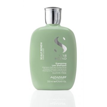 Alfaparf Scalp Renew Energizing Low Shampoo 250ml