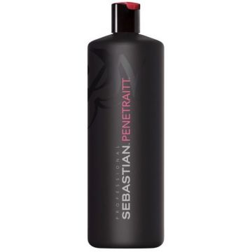 Sebastian Penetraitt Shampoo 1000ml